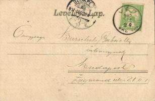 1907 Vép (Vasmegye), Gróf Erdődy Sándor kastélya, vár. Steegmüller fényirda, Karlovits Ferenc kiadás...