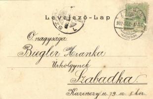 1902 Zombor, Sombor; Fő utca madártávlatból, piac. Bruck Sándor kiadása / main street, market