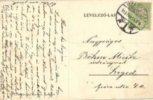 1913 Szabadka, Subotica; Láng pilseni sörcsarnoka és étterme / restaurant and beer hall