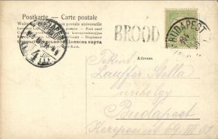 1906 Bród, Nagyrév, Slavonski Brod, Brod an der Save; vasútállomás, vonat / railway station, train