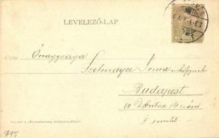 1906 Temesvár, Timisoara; Polgári lövölde / Bürgerliche Schiesstätte / shooting hall