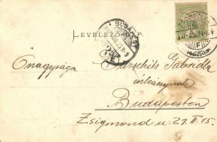1907 Zsombolya, Hatzfeld, Jimbolia; Hungaria gőztéglagyár mint részvénytársaság. Perlstein F. kiadás...