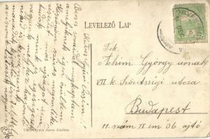 Medgyesegyháza, iskola, községháza, utca. Vidovenyecz János kiadása (EK)