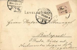 1899 Kőhalom, Reps, Rupea; Repser Burg / Cetatea Rupea / vár. Verlag v. Hans Gross. Lichtdruck v. Jo...