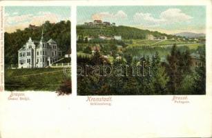 1907 Brassó, Kronstadt, Brasov; Dealul Strajii / Schlossberg / Fellegvár, villa / villa (EK)