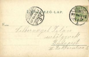 1907 Brassó, Kronstadt, Brasov; Dealul Strajii / Schlossberg / Fellegvár, villa / villa (EK)