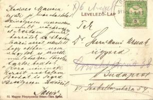 1911 Gátalja, Gáttája, Gataia; Gubányi Antal-féle sümeghegyi szőlőtelep és borgazdaság / vineyards a...