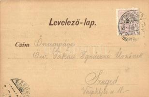 1899 Temesvár, Timisoara; Józsefváros, Gyárváros, Erzsébet gőzmalom, Bega csatorna mente, M. kir. do...