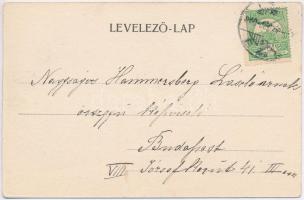 Kassa, Kosice; Lóversenytérre való megérkezés vonattal, vasútállomás. Nyulászi Béla kiadása / people...