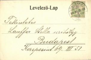 1906 Újlak-Palánka, Ilok-Backa Palanka; Steinmitz Sándor kiadása, Szecessziós képeslap csillagokkal ...