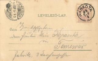 1899 Pankota, Pancota; Magyarádi szőlőhegy, tér, templom. Beamter Ödön kiadása / vineyards, square, ...