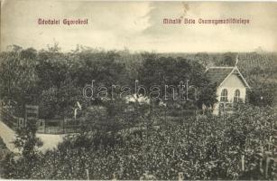 1912 Gyorok, Ghioroc; Mihalik Béla Csemegeszőlő telepe vineyards