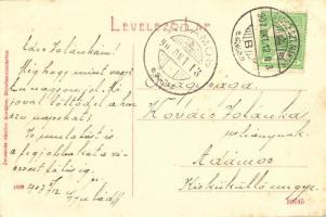 1907 Dicsőszentmárton, Tarnaveni, Diciosanmartin; Elmegyógyintézet, tébolyda. Jeremiás Sándor kiadás...