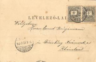 1899 Kocsóc, Kocovce; Rakovszky kastély, park. Kiadja Brück Samu / castle, park. Art Nouveau, floral