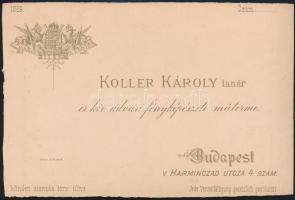 1889 I. Ferenc József (1830-1916) császár és király portréja, körbevágott keményhátú fotó, 16×11 cm ...