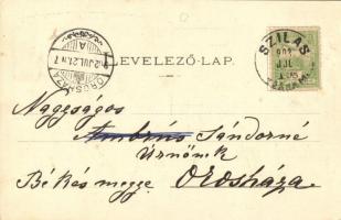 1902 Torna, Abaúj-Torna, Turnau, Turna nad Bodvou; Fő utca, Halastó, Megyeház télen. Kiadja Steinber...