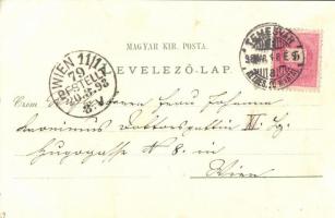 1898 Temesvár, Timisoara; Ferenc József színház, zsinagóga, megyeház, Piarista templom, városház, Lo...