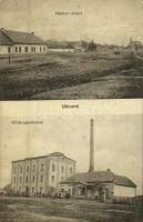 Udvard, Dvory nad Zitavou; Fő utca, Gőzhengermalom / main street, steam rolling mill (fl)