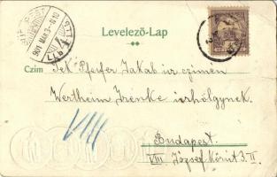 1901 Utalványos képeslap 100 koronáról Ferenc József arcképével / Austro-Hungarian 100 Krone Emb. co...