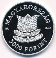 2013. 3000Ft Ag "A magyar táncház módszer" T:PP