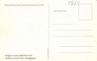 Komárom, Komárno; Schmidthauer Lajos féle Igmándi Keserűvíz telep, reklám / mineral water site, adve...