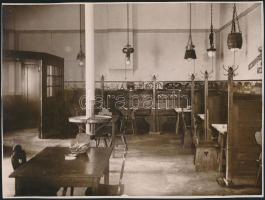 Magyarországi, budapesti sörözők, 21 db fotó, 12×17 és 17×24 cm közötti méretekben