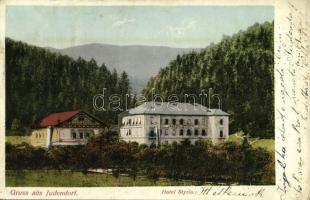 Gratwein-Strassengel, Judendorf, Hotel Styria (fl)