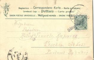 1903 Karwin, Osztrák-sziléziai AKO vasút pályaudvar, vasútállomás / österr. schles. Bahnhof d. KOB /...