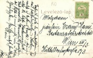 1908 Lippa, Lipova; Maros folyó vashídja. W. L. (?) 3042. Kiadja Zeitler Lajos / Eisenbrücke über Ma...