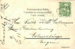 1909 J. Serravallo Farmacia. Trieste Barcola / Tonic wine advertisement art postcard