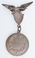 1932-1933. "REMOSZ Sportverseny" ezüstözött Br repülős díjérem, turulmadaras jelvénnyel, é...