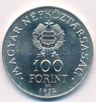 1972. 100Ft Ag "Budapest" T:BU patina
Adamo EM40