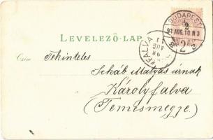 1898 (Vorläufer!) Budapest, Andrássy út, Városligeti tó, Lánchíd, Királyi várról látkép, Műegyetem. ...