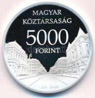 2009. 5000Ft Ag "Világörökség helyszínek: Budapest" T:PP
Adamo EM223