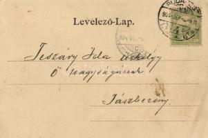 1904 Balatonföldvár, Kupa vezér szálloda. Kiadja Gerendai Gyula 1048. (EB)