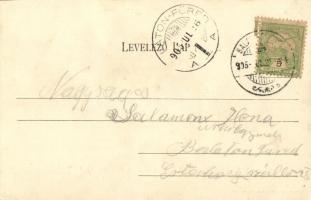 1905 Balatonföldvár, fürdő a Stefánia sáncról tekintve, villa. Kiadja Gerendai Gyula 146