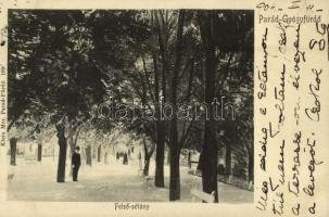 1904 Parád, Parádfürdő, Parád-gyógyfürdő; Felső sétány. Kiadja Klein Mór 169.
