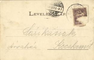 1901 Szolnok, Városháza, Sebők Nándor, Fuchs Lipót üzlete. Szigeti H. udv. fényképész felvétele (EK)