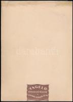 cca 1930 Angelo (1894-1974): Százados portréja, fotó, kartonra ragasztva, jelzett, 23×16,5 cm