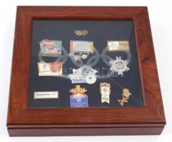 Amerikai Egyesült Államok 2002. 11db klf olimpiai támogató jelvény a Salt Lake City-ben rendezett Té...