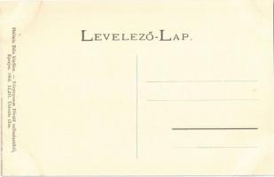 Nagysáros, Velky Saris; II. Rákóczi Ferenc vára. Holénia Béla kiadása, Divald / castle ruins