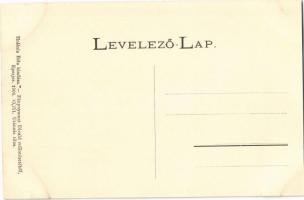 Nagysáros, Velky Saris; II. Rákóczi Ferenc kastélya. Holénia Béla kiadása, Divald / castle