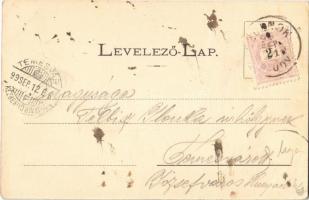 1899 Szolnok, Veszter és Müller vasúti nyári étterme és mulatókertje. Szigeti H. fényk. (fl)