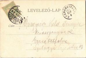 1903 Budapest XII. Zugliget villamos vasúti végállomás. Schwarz J. kiadása