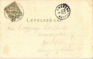 1902 Budapest, Tudományos Akadémia, Deák szobor, Várkert rakpart és királyi vár. Kunstanstalt Rosenb...