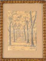 Mednyánszky jelzéssel: Telepített erdő. Grafit, papír, üvegezett keretben, 18,5×14,5 cm