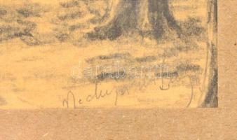 Mednyánszky jelzéssel: Telepített erdő. Grafit, papír, üvegezett keretben, 18,5×14,5 cm