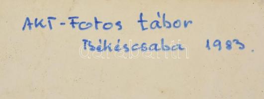 Akt fotó nagyítás. Falemez. hátulján feliratozott. Aktfotós tábor. Sérült. 38x52 cm