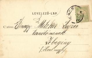 1902 Ercsi, látkép este, templom, gőzhajó montázs. Kiadja Déri János és Fia (EK)