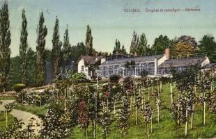 1916 Szliács, Sliac; Üvegház és rózsaliget / greenhouse, garden